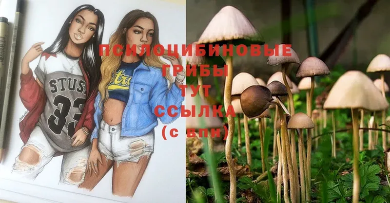 ссылка на мегу зеркало  закладки  Почеп  Галлюциногенные грибы Magic Shrooms 